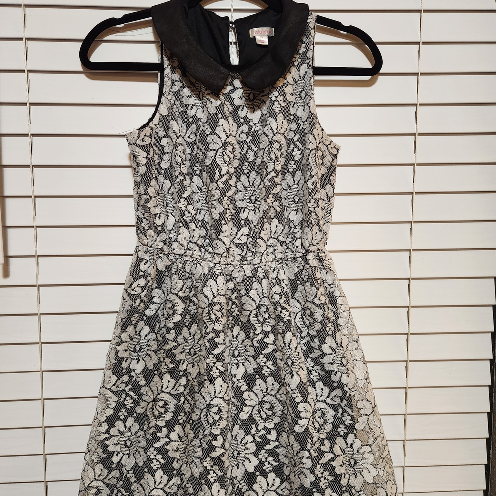 Black and White Lace Dress with Collar